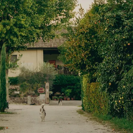 Corte Vallio Bed & Breakfast Desenzano del Garda